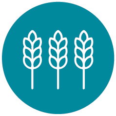 Agri-food systems